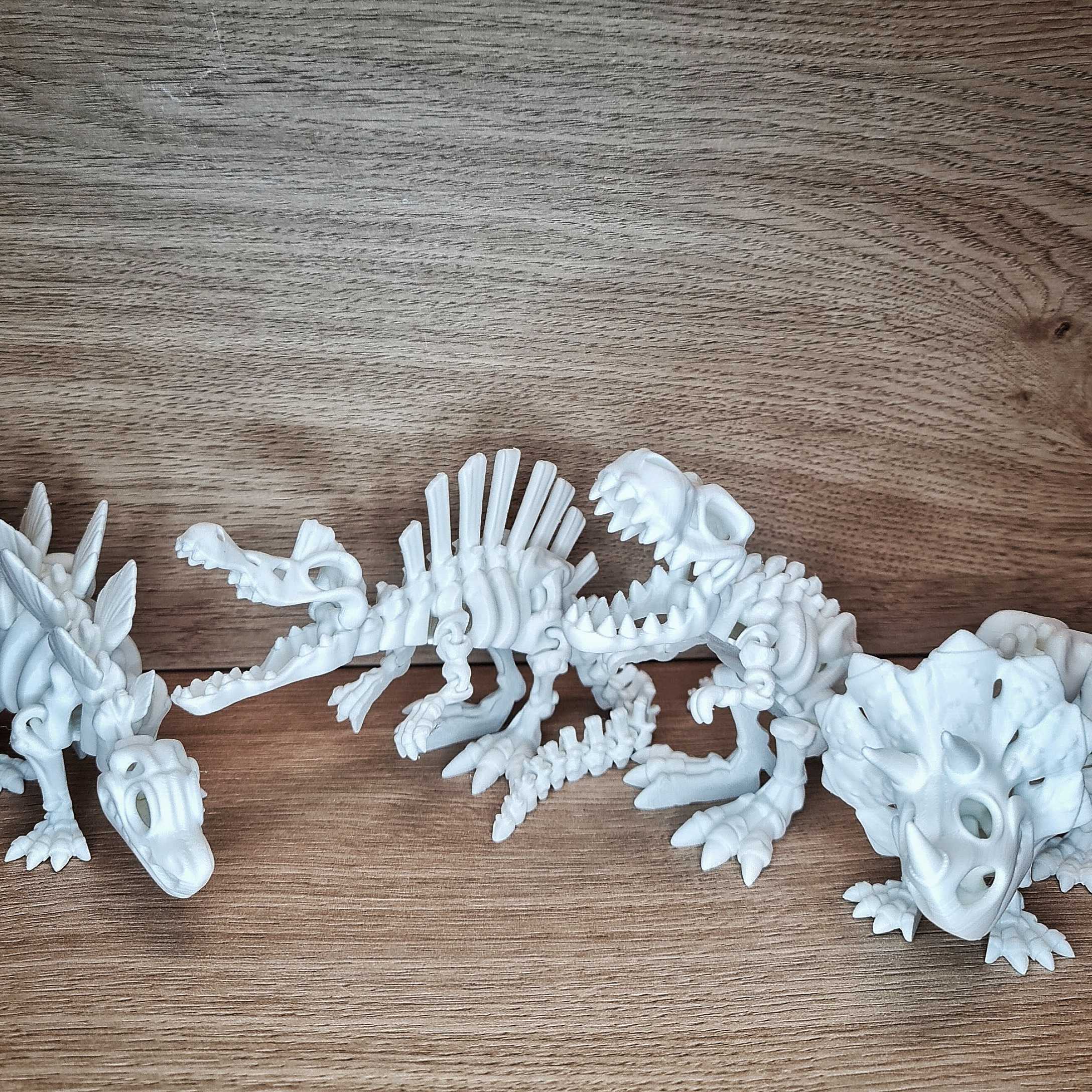 Set igračaka
Fosili dinosaurusa